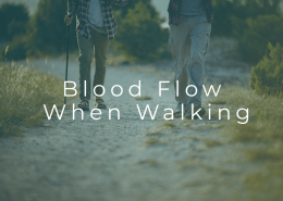 blood flow in the legs during walking