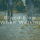 blood flow in the legs during walking