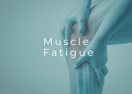 muscle fatigue in the legs